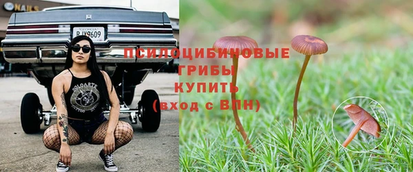СК Краснослободск
